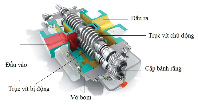 Cách Vẽ Trục Vít