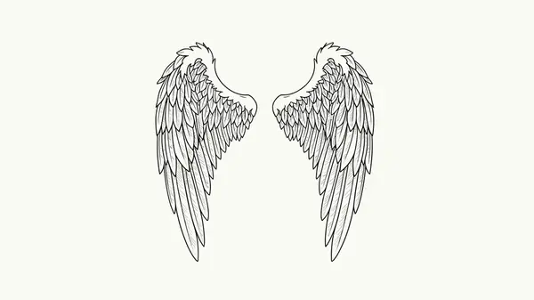 Cách Vẽ Wing Cách Vẽ Wing