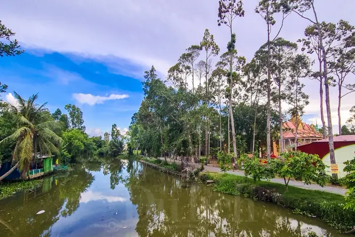 Hôn Vẽ Cách Điệu Hôn Vẽ Cách Điệu