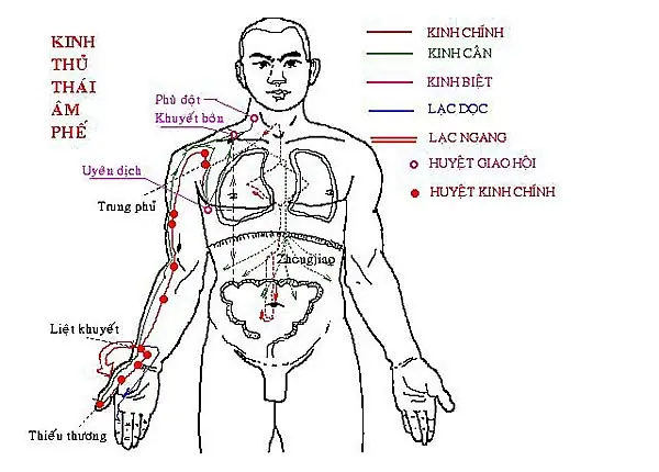 Hoọc Cách Vẽ Than