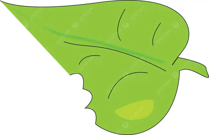 Các Cách Vẽ Lá Xanh