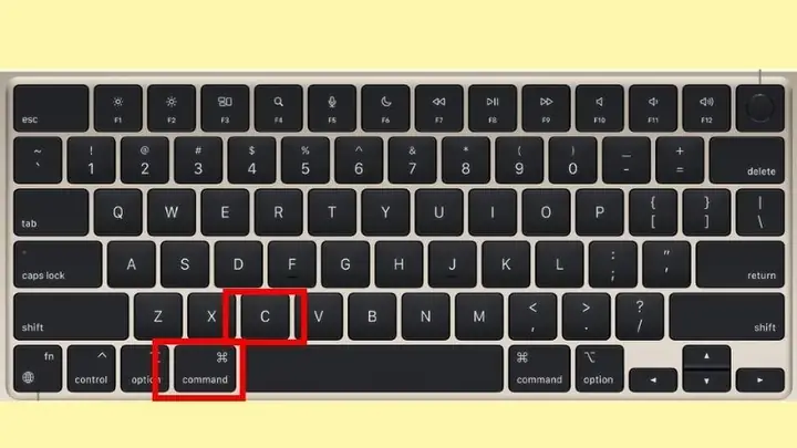 Cách Copy Hình Vẽ Trong Word