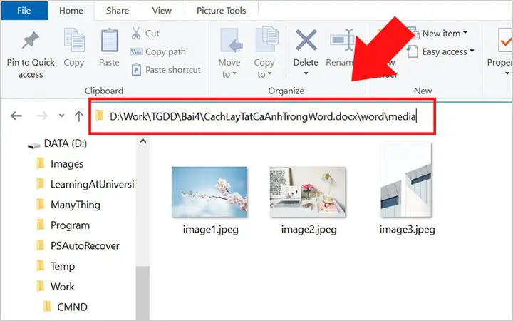 Cách Copy Hình Vẽ Trong Word