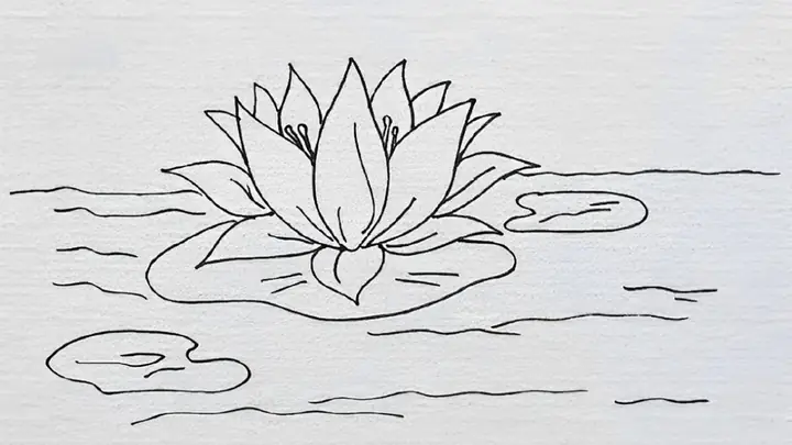 Cách Dạy Vẽ Hoa Sen
