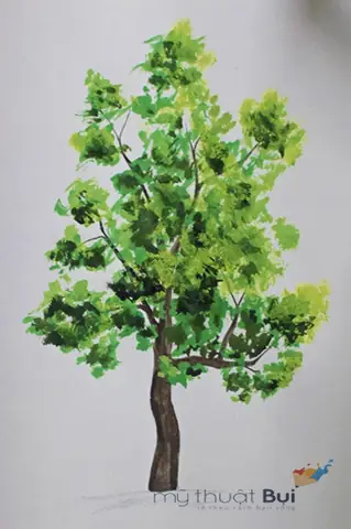 Cách Để Vẽ Bụi Cây