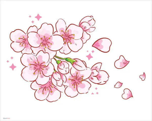 Cách Hóa Ảnh Hình Vẽ