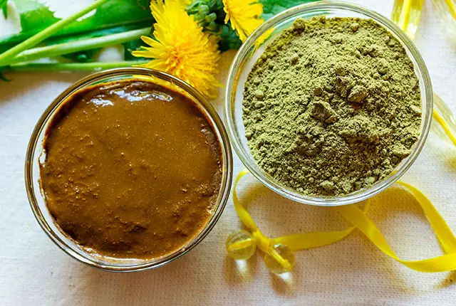 Cách Làm Bột Vẽ Henna Cách Làm Bột Vẽ Henna