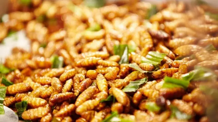 Cách Làm Ong Vò Vẽ