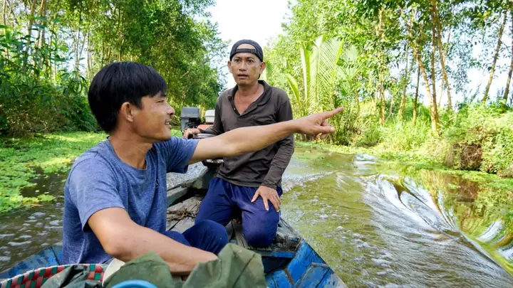 Cách Săn Ong Vò Vẽ