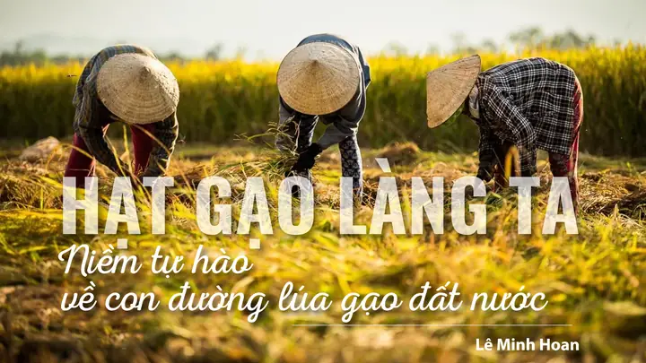 Cách Vẽ 1 Hạt Gạo