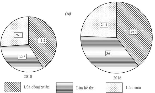 Cách Vẽ 3 Biểu Đồ Tròn
