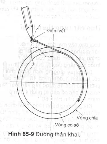 Cách Vẽ Bánh Răng Thân Khai