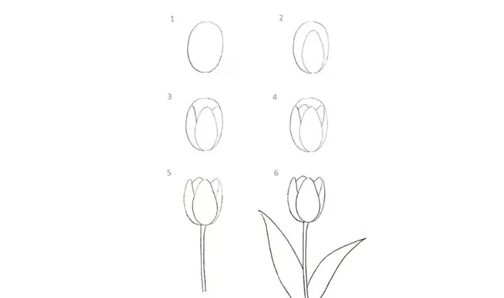 Cách Vẽ Bông Hoa Đẹp Nhất Cách Vẽ Bông Hoa Đẹp Nhất