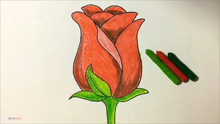 Cách Vẽ Bông Hồng 3d
