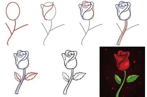 Cách Vẽ Bông Hồng Dễ Nhất Cách Vẽ Bông Hồng Dễ Nhất