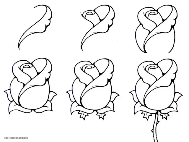 Cách Vẽ Bông Hồng Đẹp Nhất