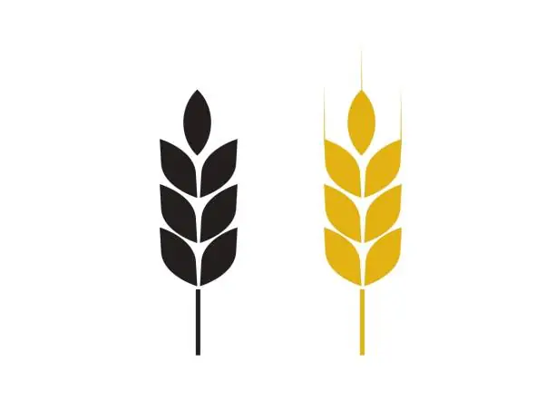 Cách Vẽ Bông Lúa Illustrator Cách Vẽ Bông Lúa Illustrator