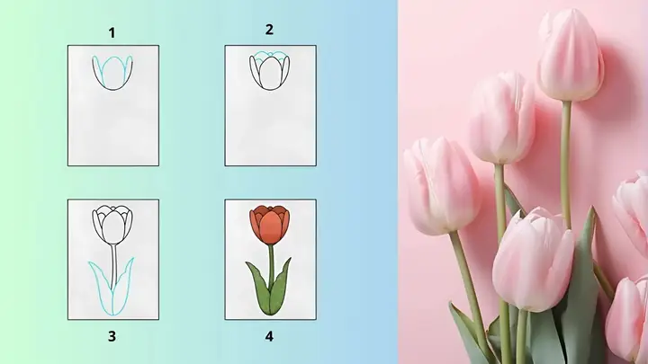 Cách Vẽ Các Loại Loa