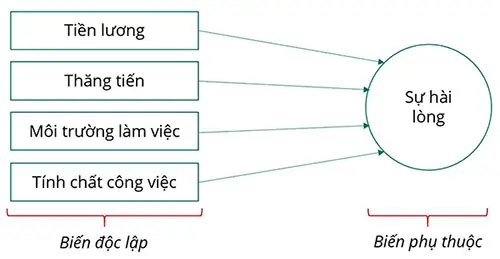 Cách Vẽ Các Loại Mô
