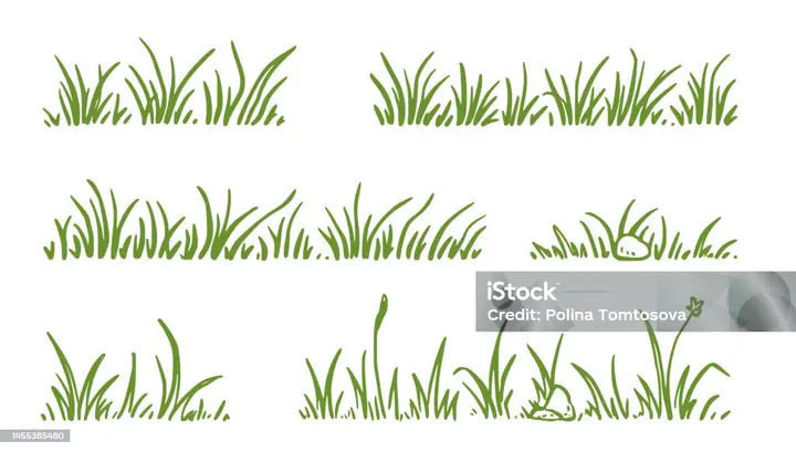 Cách Vẽ Cánh Đồng Cỏ Cách Vẽ Cánh Đồng Cỏ