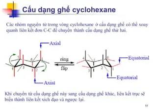 Cách Vẽ Cấu Dạng Ghế Cách Vẽ Cấu Dạng Ghế