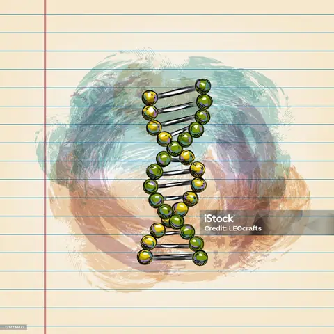 Cách Vẽ Cấu Trúc Adn