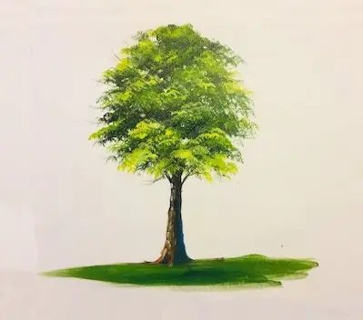 Cách Vẽ Cây Bằng Màu Sáp Cách Vẽ Cây Bằng Màu Sáp