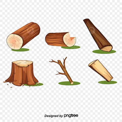 Cách Vẽ Cây Bị Chặt