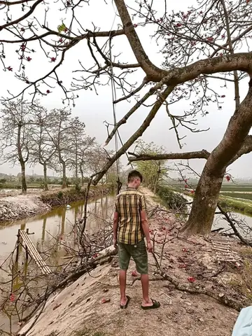 Cách Vẽ Cây Bị Chặt