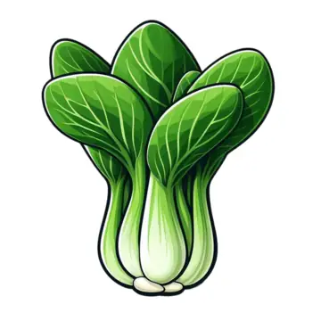 Cách Vẽ Cây Cải Thìa
