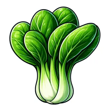 Cách Vẽ Cây Cải Thìa