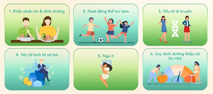 Cách Vẽ Cây Cân Bằng