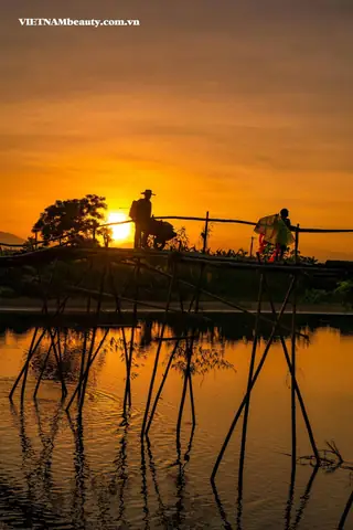 Cách Vẽ Cây Cầu Tre