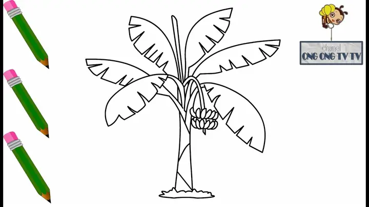 Cách Vẽ Cây Chuối Đẹp