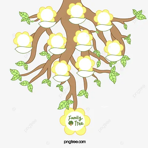 Cách Vẽ Cây Gia Phả Cách Vẽ Cây Gia Phả