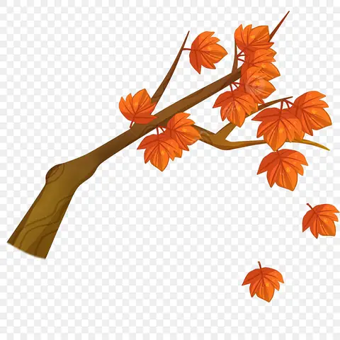Cách Vẽ Cây Lá Đỏ