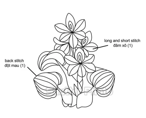 Cách Vẽ Cây Lục Bình