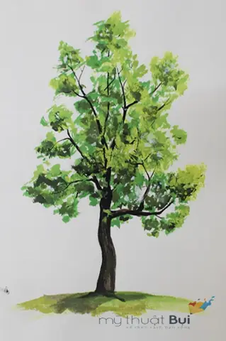 Cách Vẽ Cây Màu Nước