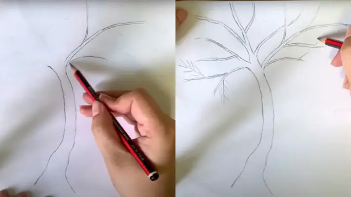 Cách Vẽ Cây Phượng Đơn Giản