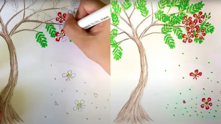 Cách Vẽ Cây Phượng Đơn Giản
