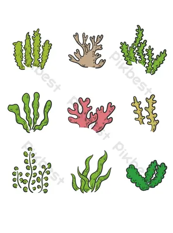Cách Vẽ Cây Rong Biển