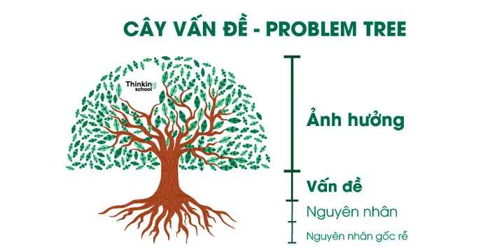 Cách Vẽ Cây Vấn Đề