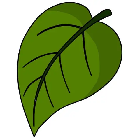 Cách Vẽ Chiếc Lá Đơn Giản