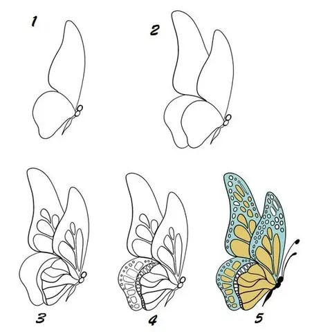 Cách Vẽ Con Bướm Cách Điệu