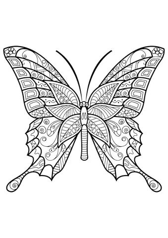 Cách Vẽ Con Bướm Cách Điệu