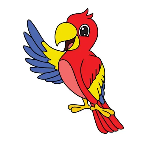 Cách Vẽ Con Vẹt Đơn Giản