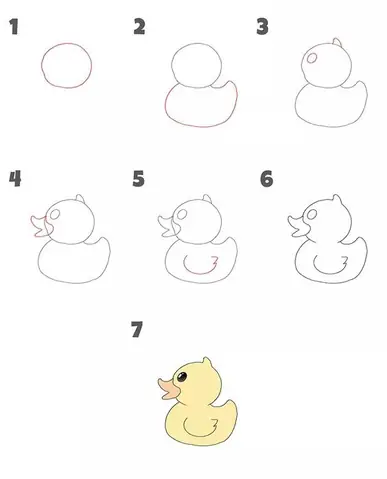 Cách Vẽ Con Vịt Đơn Giản