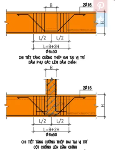 Cách Vẽ Cốt Vai Bò