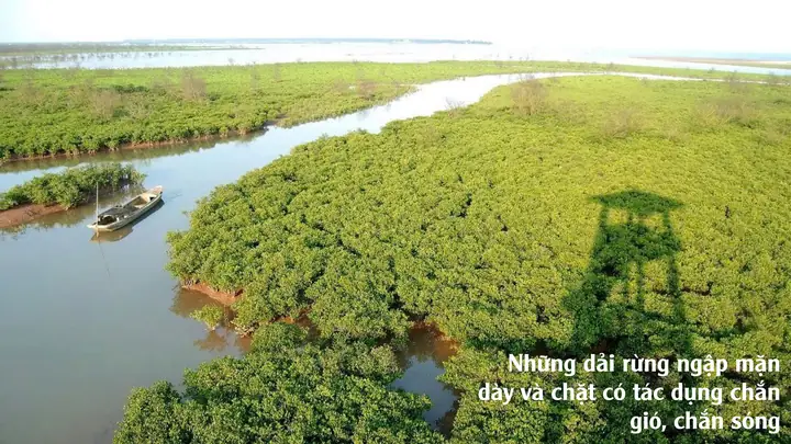 Cách Vẽ Đất Trồi Lên