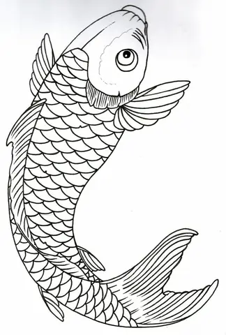 Cách Vẽ Đầu Cá Chép